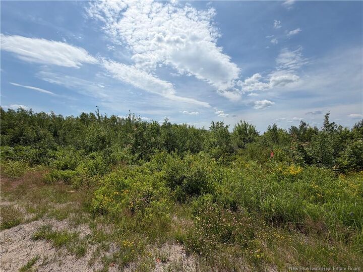 Property Photo:  Lot 5 O'Keefe  NB E1V 6J3 