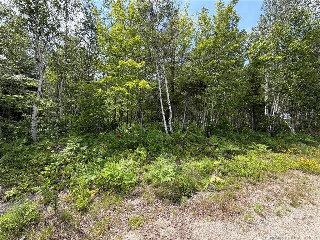 Property Photo:  Lot 3 O'Keefe  NB E1V 6J3 