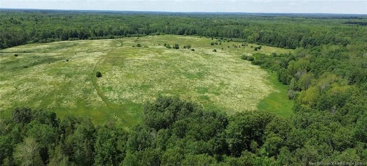 Property Photo:  114.9 Acres Little River Drive  NB E2A 6M4 