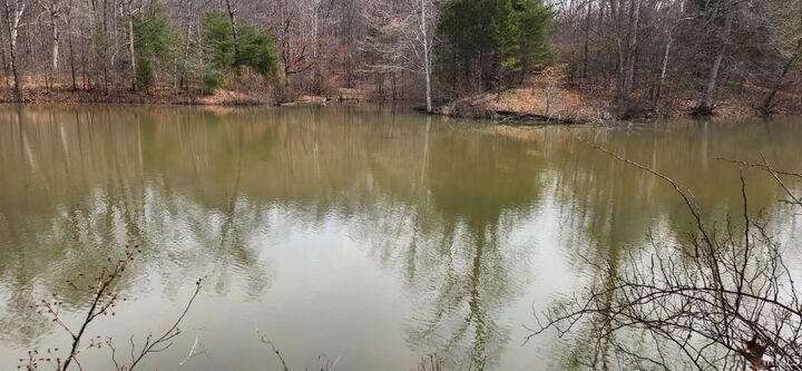 Property Photo: 0 Braysville Road IN 47460