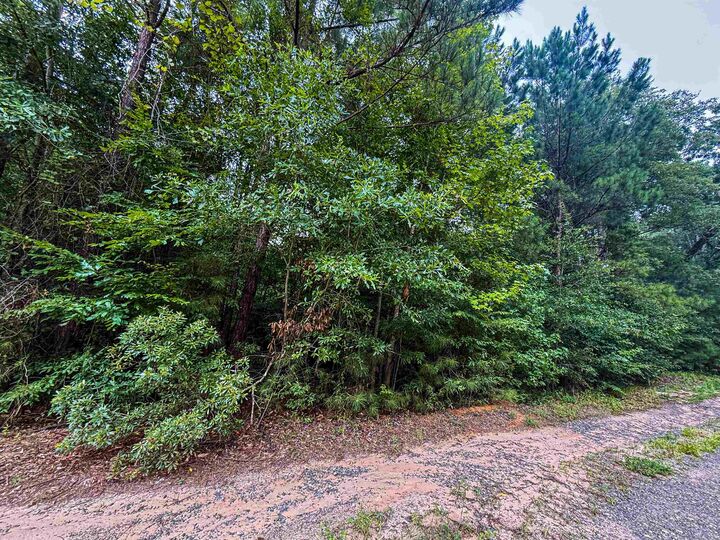 Property Photo: Tbd Sequoia Dr TX 75651