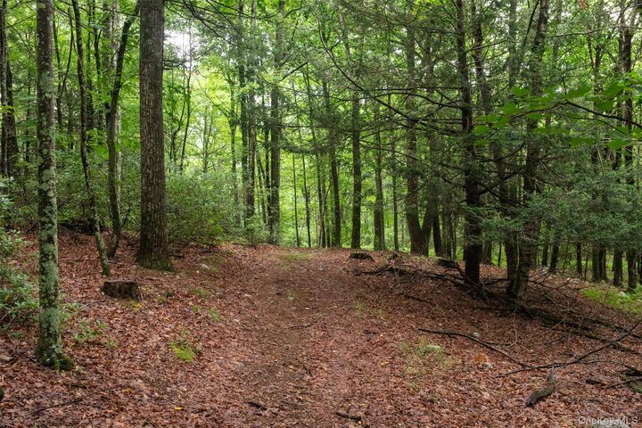 Property Photo: 3789 State Route 52 NY 12566