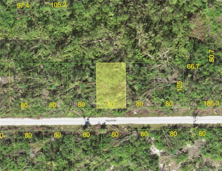 Property Photo: 16856 Liggett Circle FL 33981