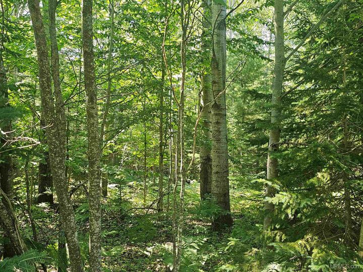 Property Photo:  Tbd Parcel M16 Applewood Drive  MI 49931 