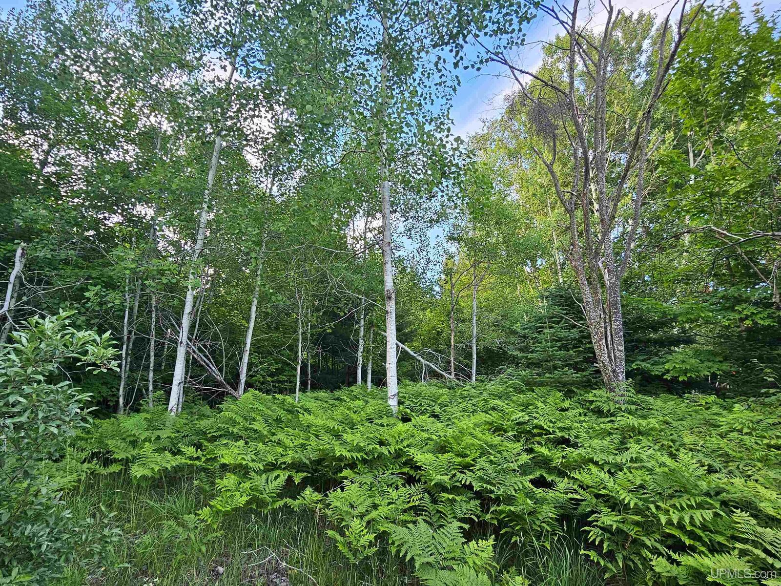 Property Photo:  Tbd Parcel M9 Applewood Drive  MI 49931 