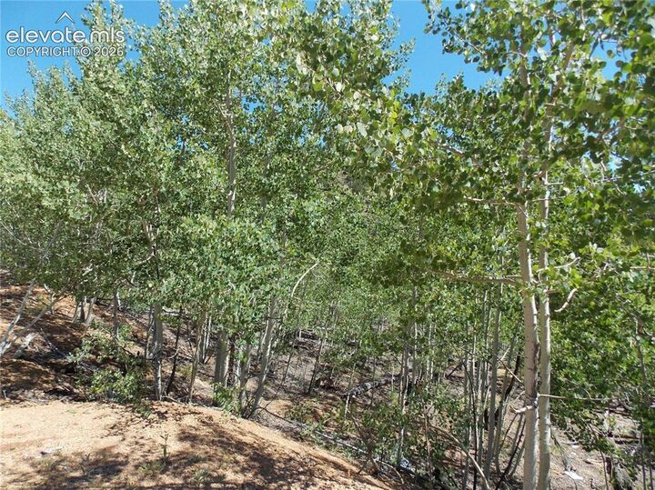 Property Photo:  615 Valley Drive  CO 80816 