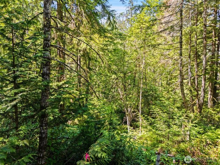 Property Photo:  0 Sp1356 E Glenwood Drive  WA 98592 