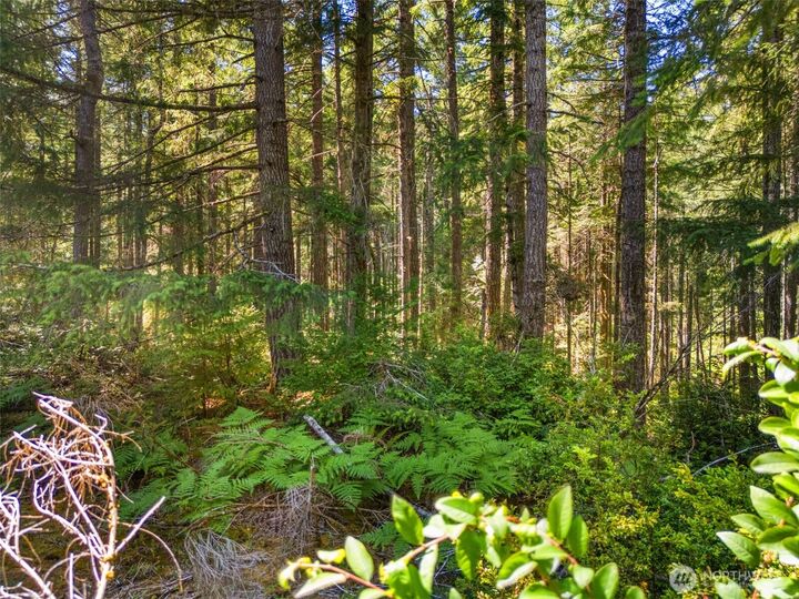 Property Photo: 0 Sp1357 E Glenwood Drive WA 98592