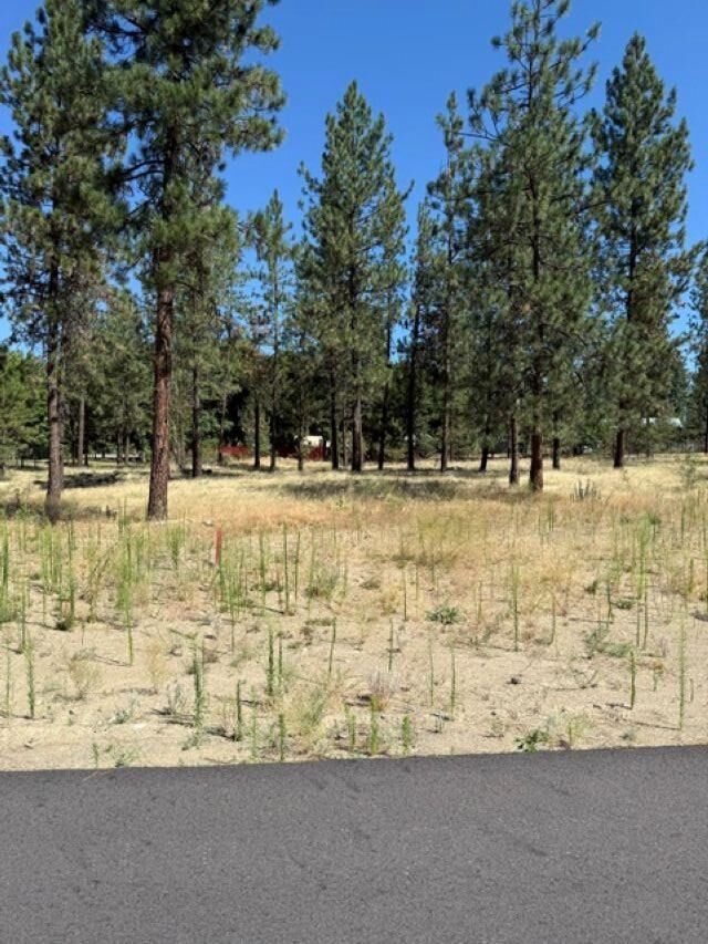Property Photo: Lot 14 Long Lake Estates Est WA 99026