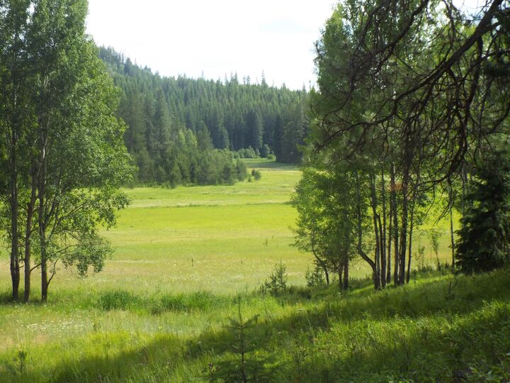 Property Photo: 307 Beaver Valley Rd WA 99156