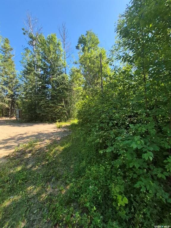 Property Photo:  133 Birchwood Avenue  SK S0J 0Y0 