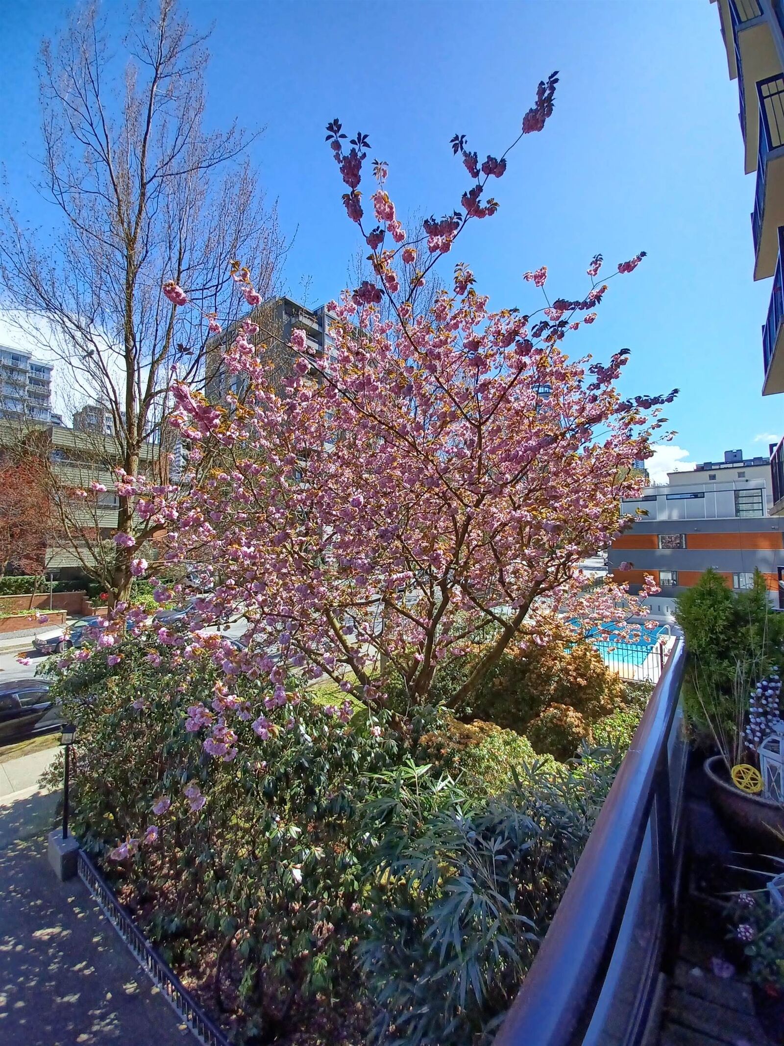 Property Photo: 1330 Harwood Street 203 BC V6E 1S8