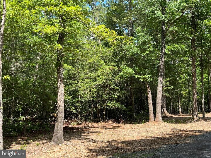 Property Photo:  Cardinal Pl  VA 22485 