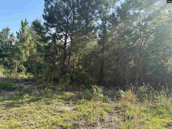 Property Photo: 0 Valley Stream SC 29070