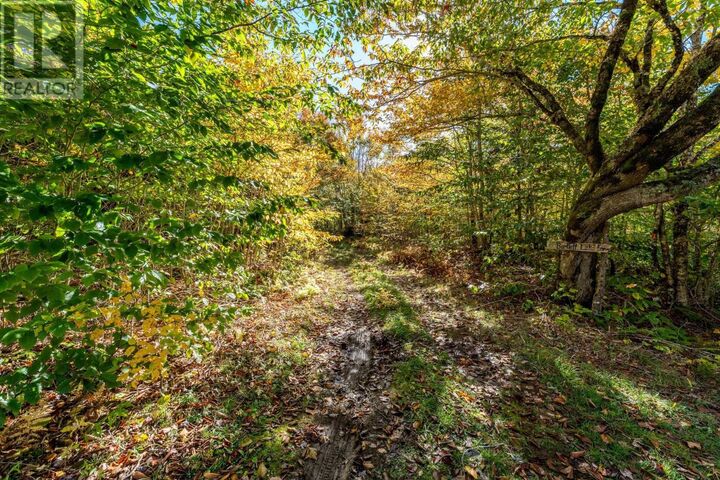 Property Photo:  85 Bartlett Lake Lane  NS B0W 1M0 