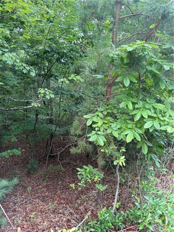 Property Photo:  13 Pinnacle Court  GA 30512 