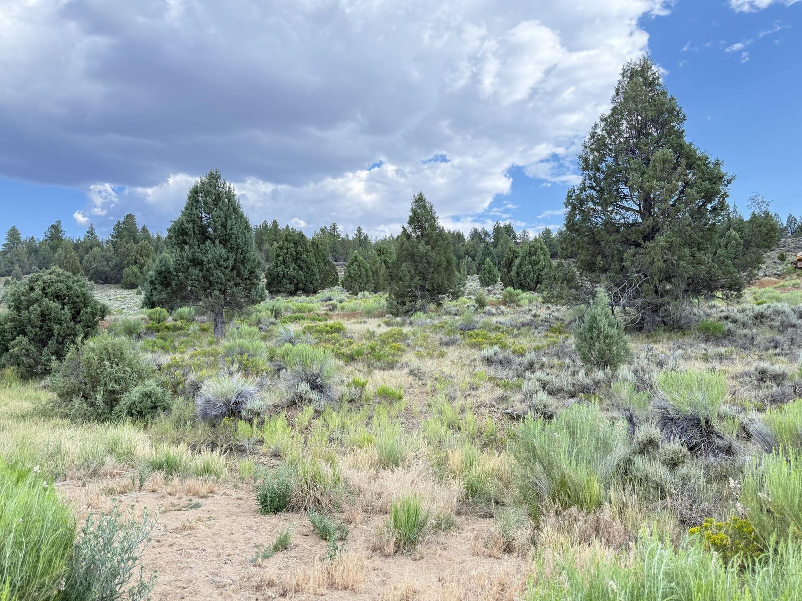 Property Photo:  Chippewa Dr  UT 84762 