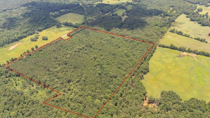 Property Photo: Tbd 50.795 Ac Fm 2496 TX 75681