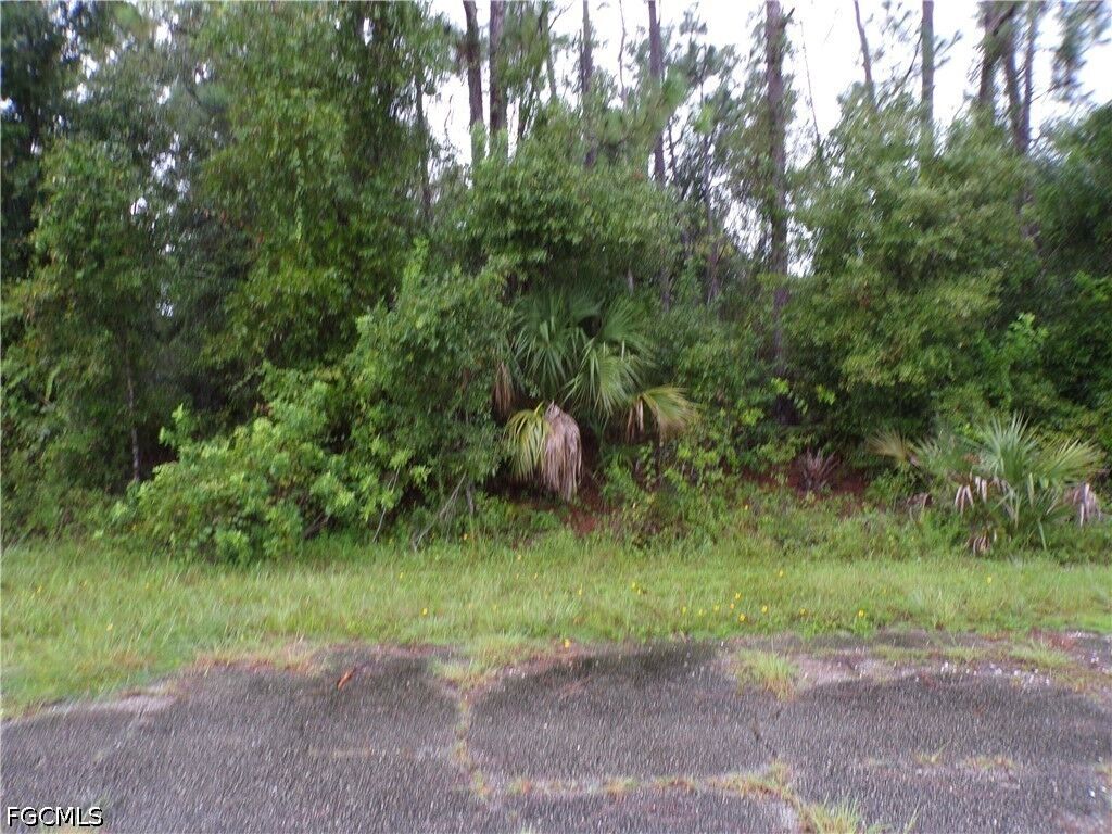 Property Photo: Nocturn Street FL 34288