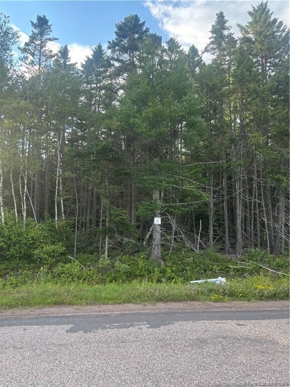 Lot 26-3 Upper Midland Road — photo 1