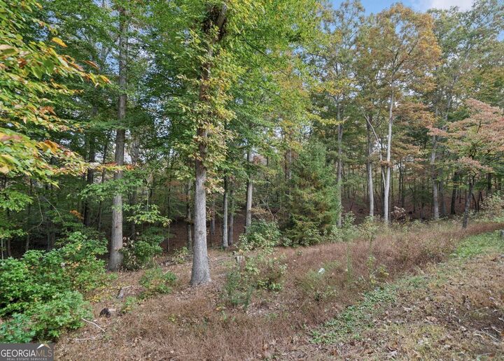Property Photo: 0 Ammons Drive GA 30183