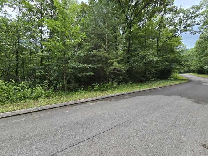 Property Photo:  Lot 135 Lower Brow Road  TN 37327 
