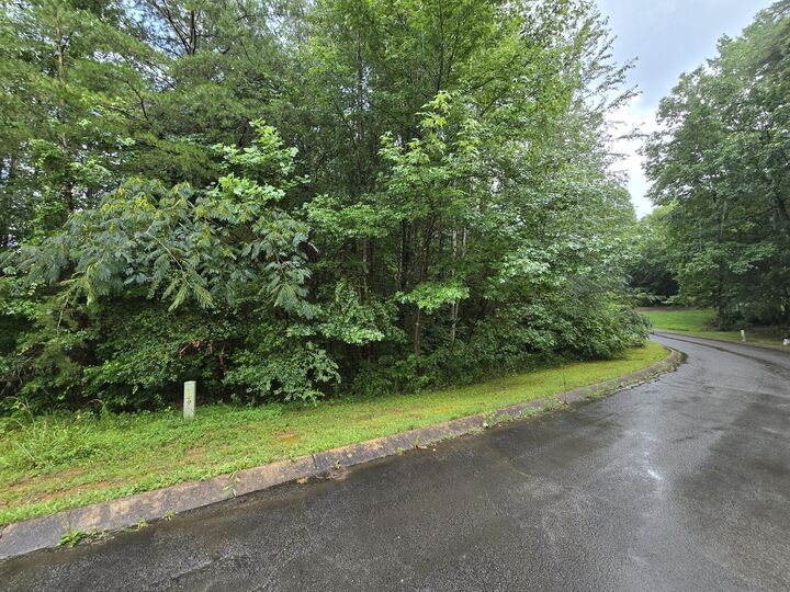 Property Photo: 0 Big Cedar Drive TN 37327