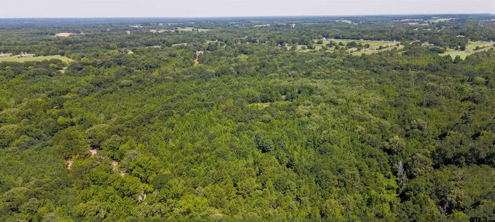 Property Photo:  Tbd S Fm 778 / Cr 3880  TX 75773 