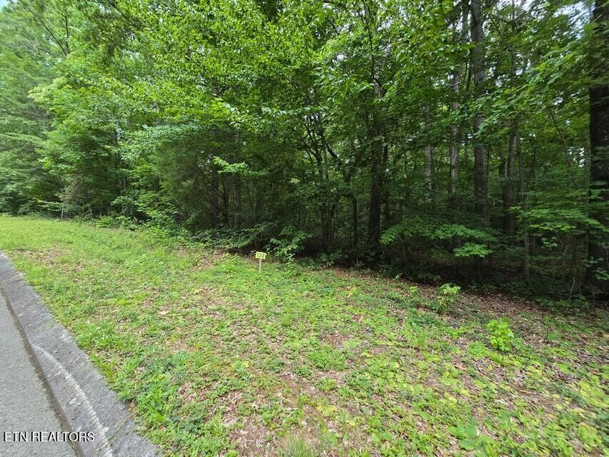 Property Photo:  Lot 138 Lower Brow Rd  TN 37327 