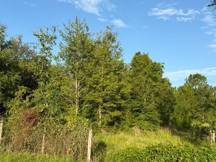 Property Photo: NE 160th Ave FL 32696
