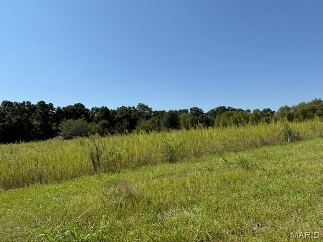 Property Photo: 0 Lot 3 Mikathric Estates MO 63383