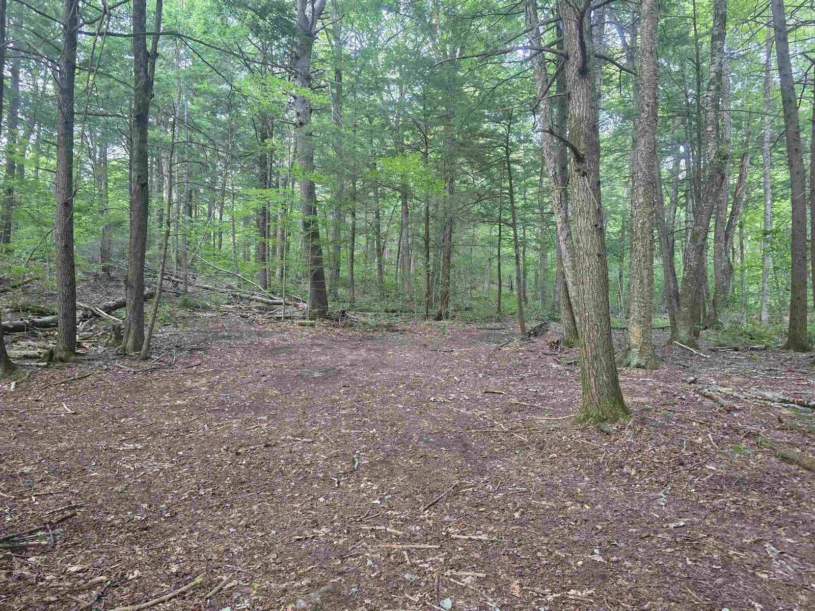 Property Photo: Off Robin Hill Road VT 05359