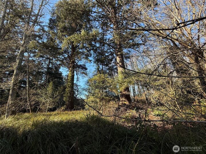Property Photo: 27399 Sandridge Road WA 98640