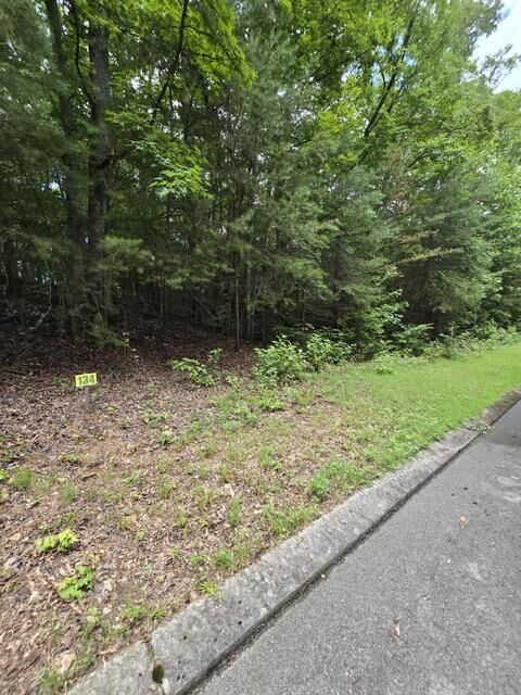 Property Photo:  Lot 134 Lower Brow Road  TN 37327 
