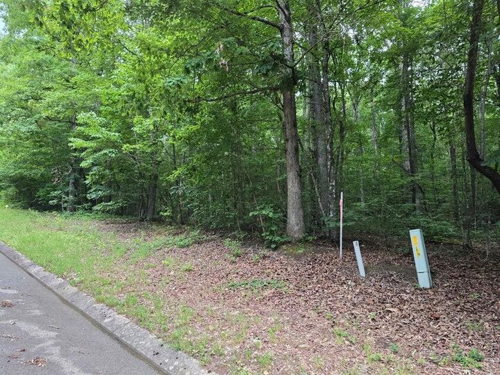 Property Photo:  Lot 138 Lower Brow Road  TN 37327 