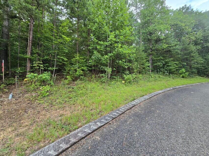 Property Photo:  Lot 155 Lower Brow Road  TN 37327 