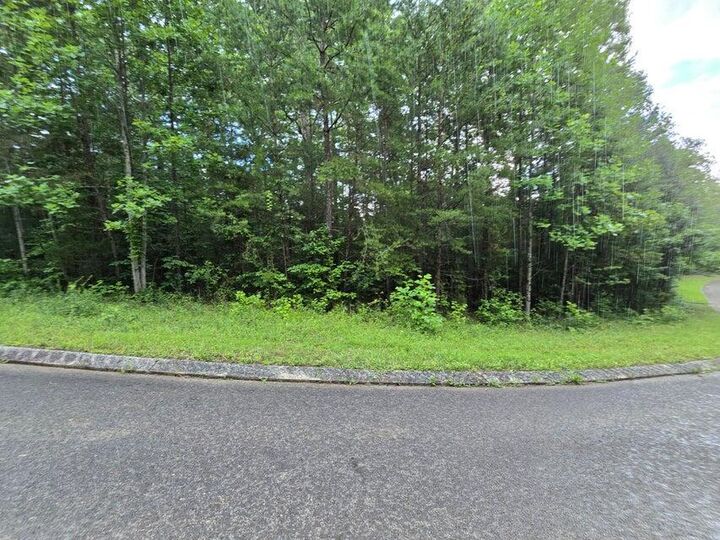 Property Photo: Lot 156 Lower Brow Road TN 37327