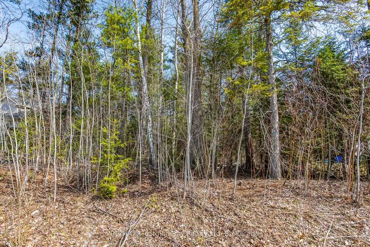 Property Photo:  Lot 102 Emilio Street  ON L0L 2T0 
