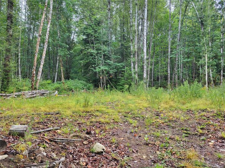 Property Photo: 7531 Cowichan Lake Rd Lot B BC V0R 2G0