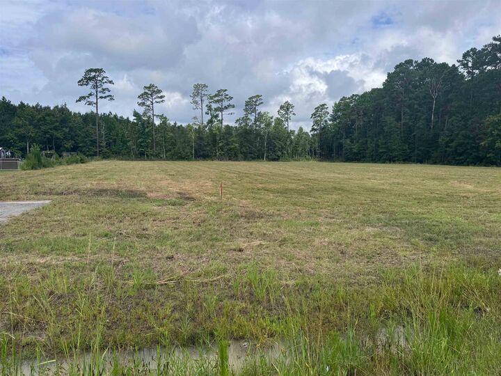 Property Photo: 6178 Highway 701 South SC 29526