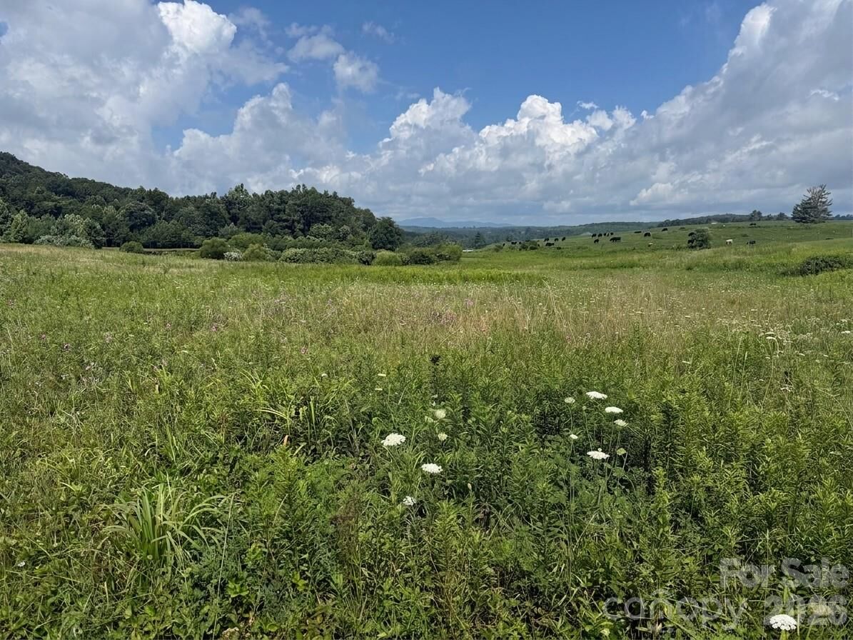 Property Photo: Tbd Blue Ridge Estates NC 28623