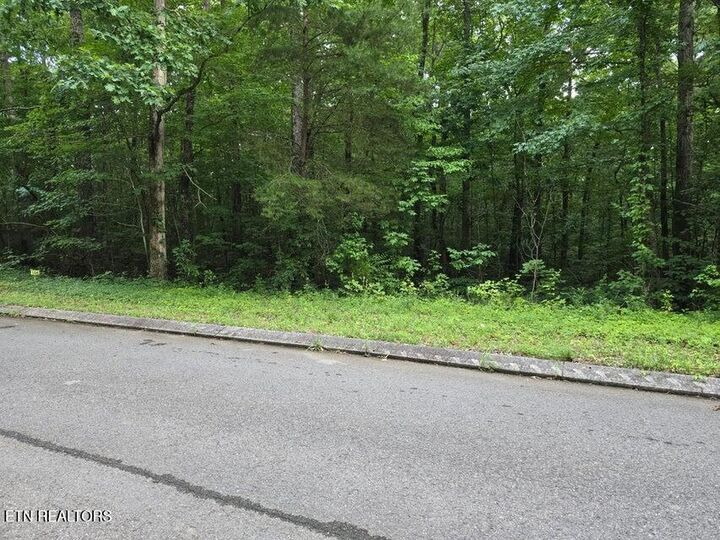 Property Photo:  Lot 144 Lower Brow Rd  TN 37327 