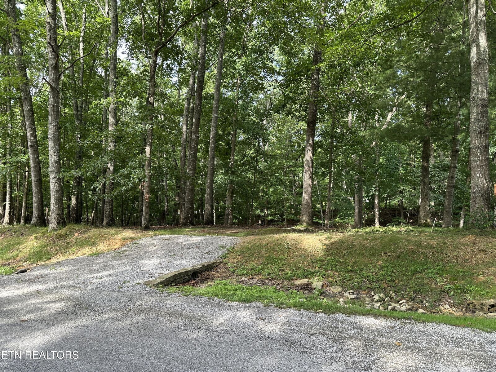 Property Photo:  156 Glenwood Drive  TN 38558 