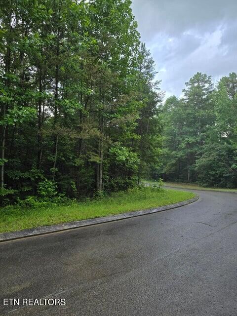 Property Photo:  Lot 156 Lower Brow Rd  TN 37327 