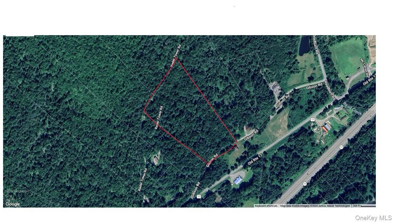 Property Photo:  00 Gibson Road  NY 13783 