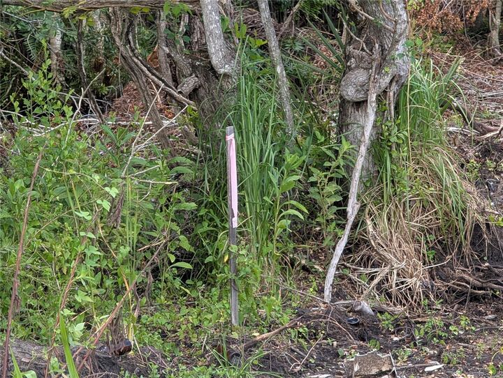 Property Photo: Jefferson Avenue FL 32820