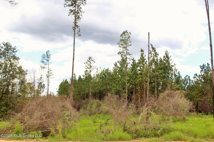 Property Photo: 8.83ac Little Cedar Road MS 39452