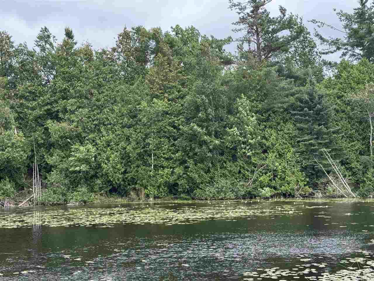 Property Photo:  Tbd Pickerel Lake  MI 49770-0000 
