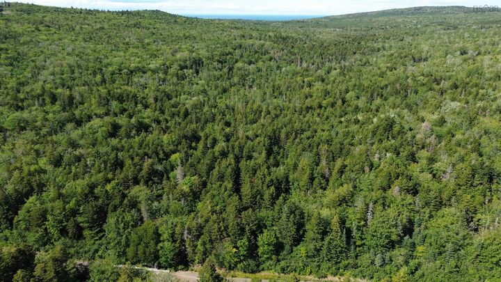 Property Photo:  Lot Old Mountain Road  NS B0V 1A0 