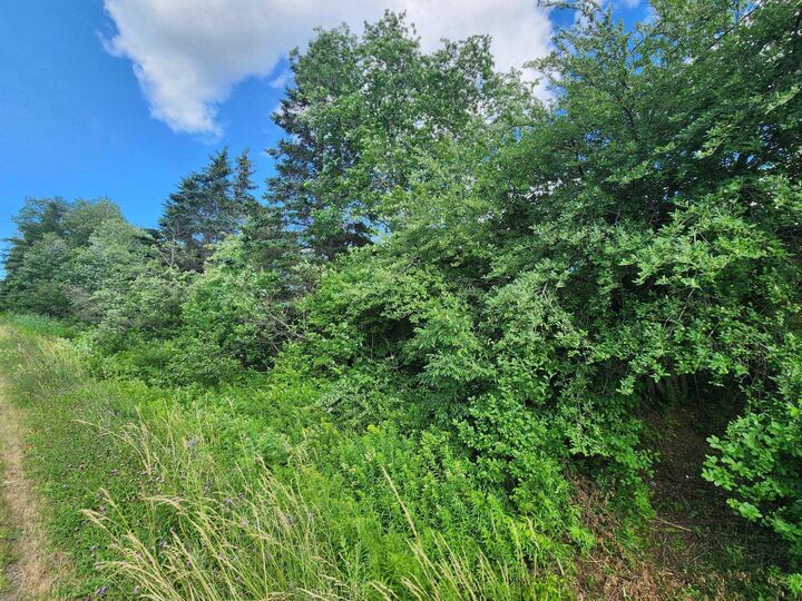 Lot Highway 236 — photo 1